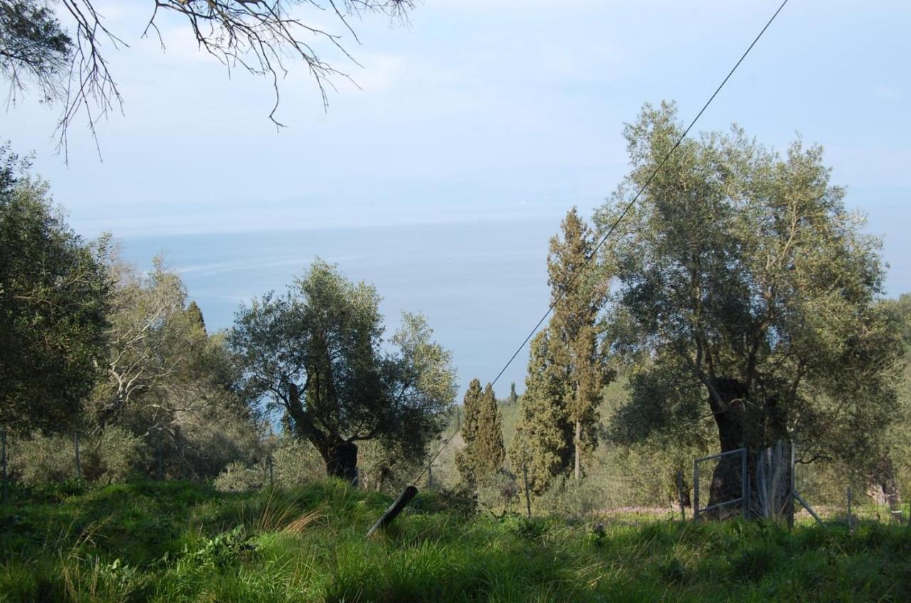 Villa Korakades Exterior photo